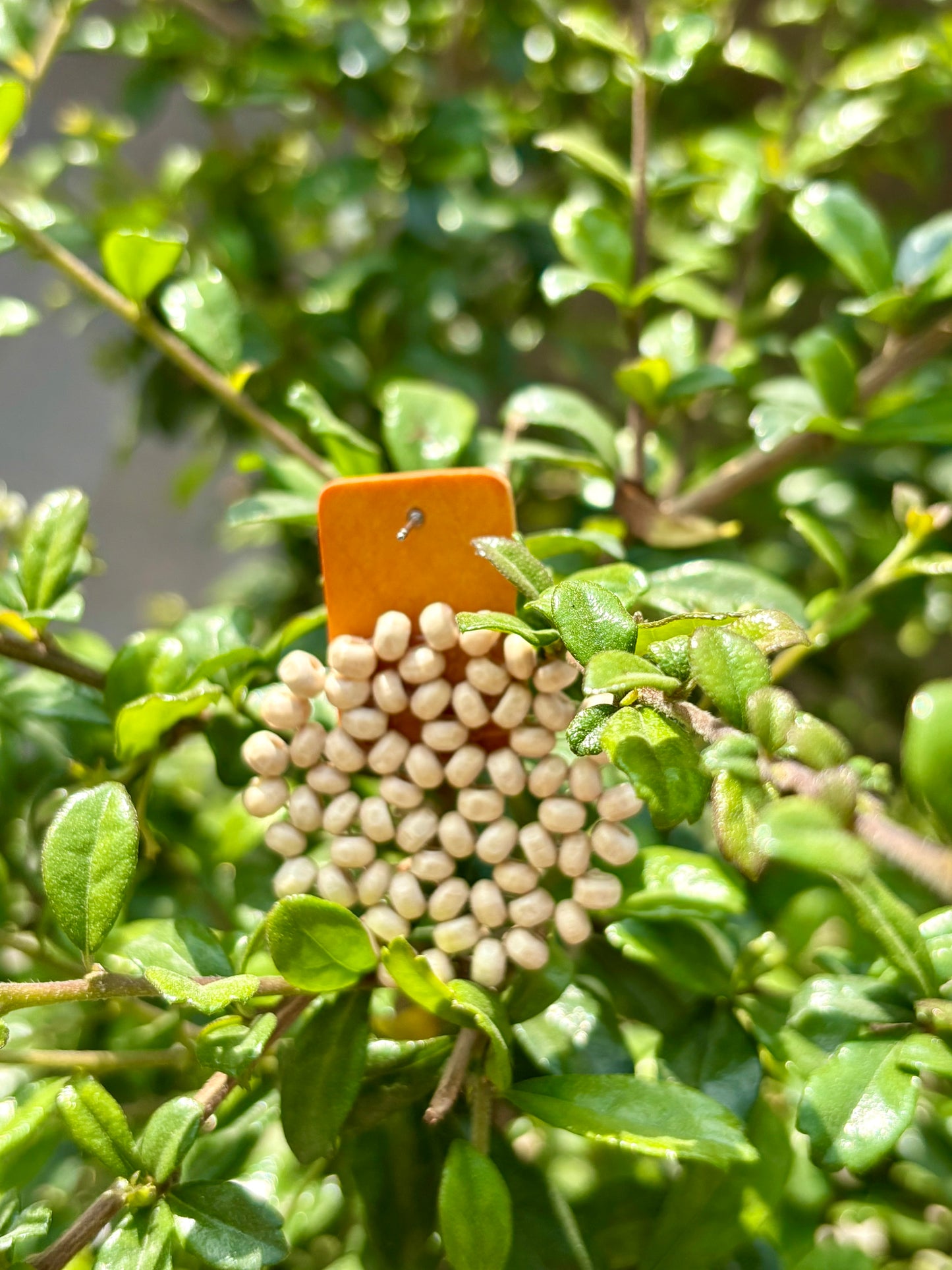 Harvest Muse Earrings